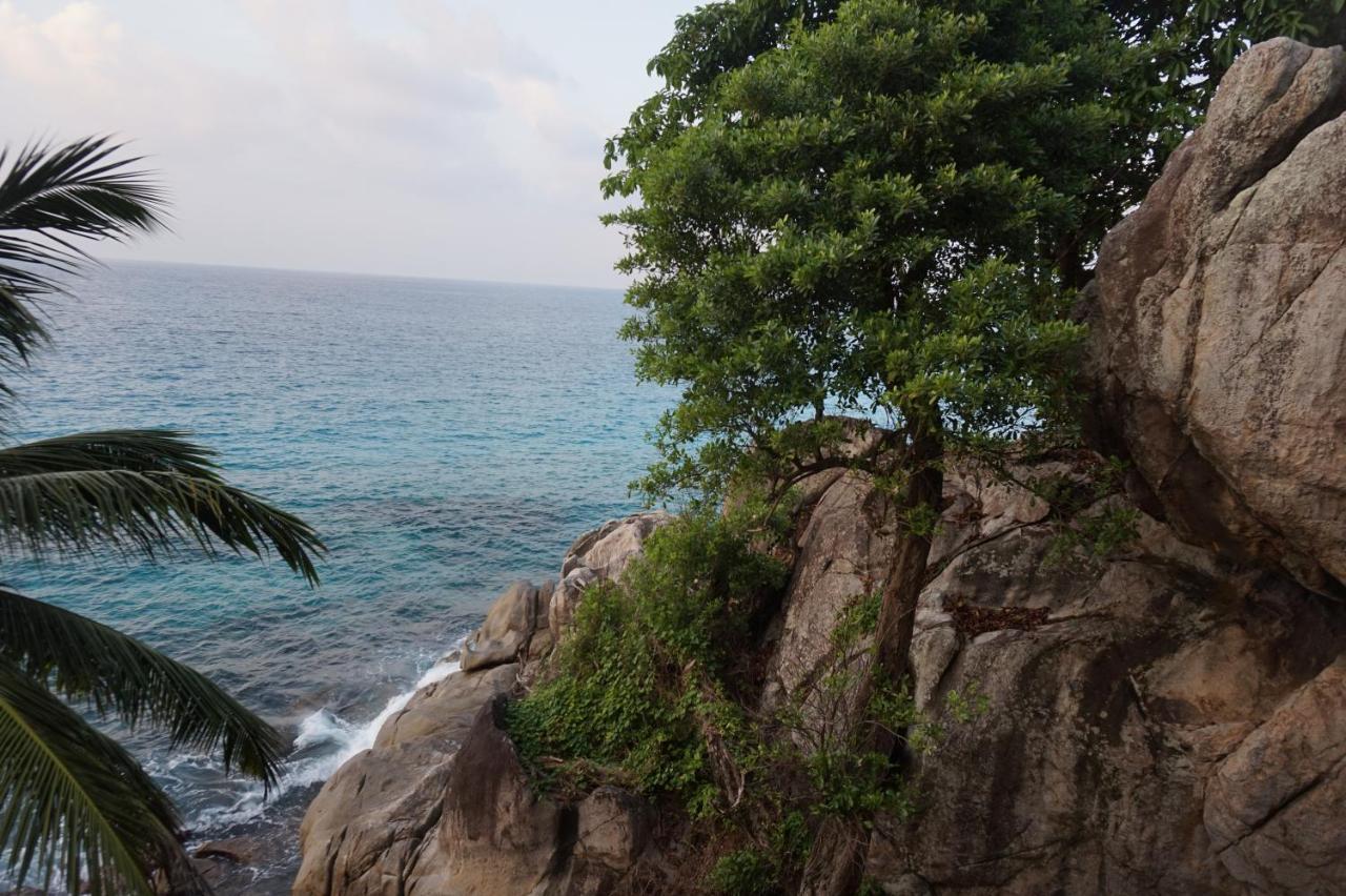 Maka Bay Self Catering Daire Victoria Dış mekan fotoğraf